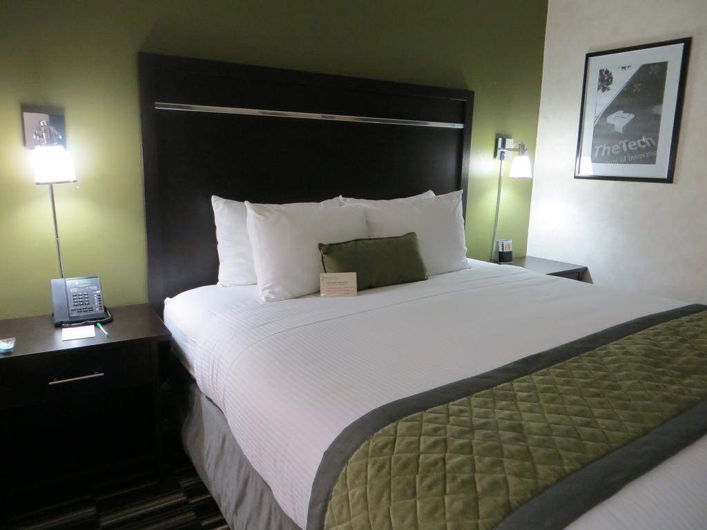 Standard King Room