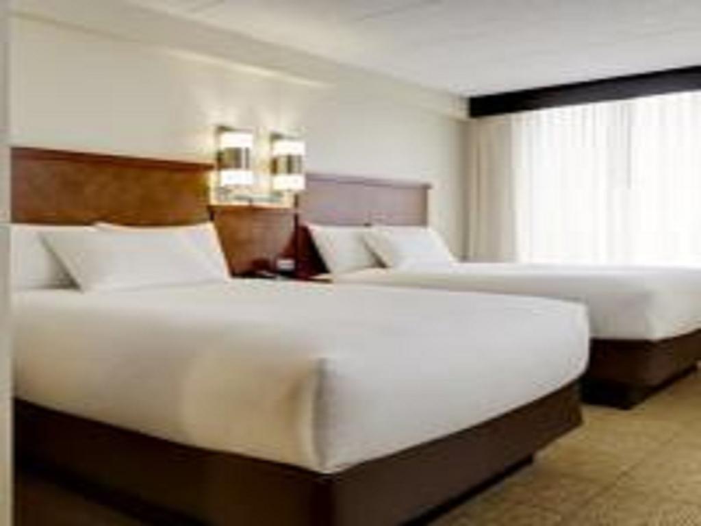 Double Room with Two Double Beds and Sofa Bed,123488194:JPEG