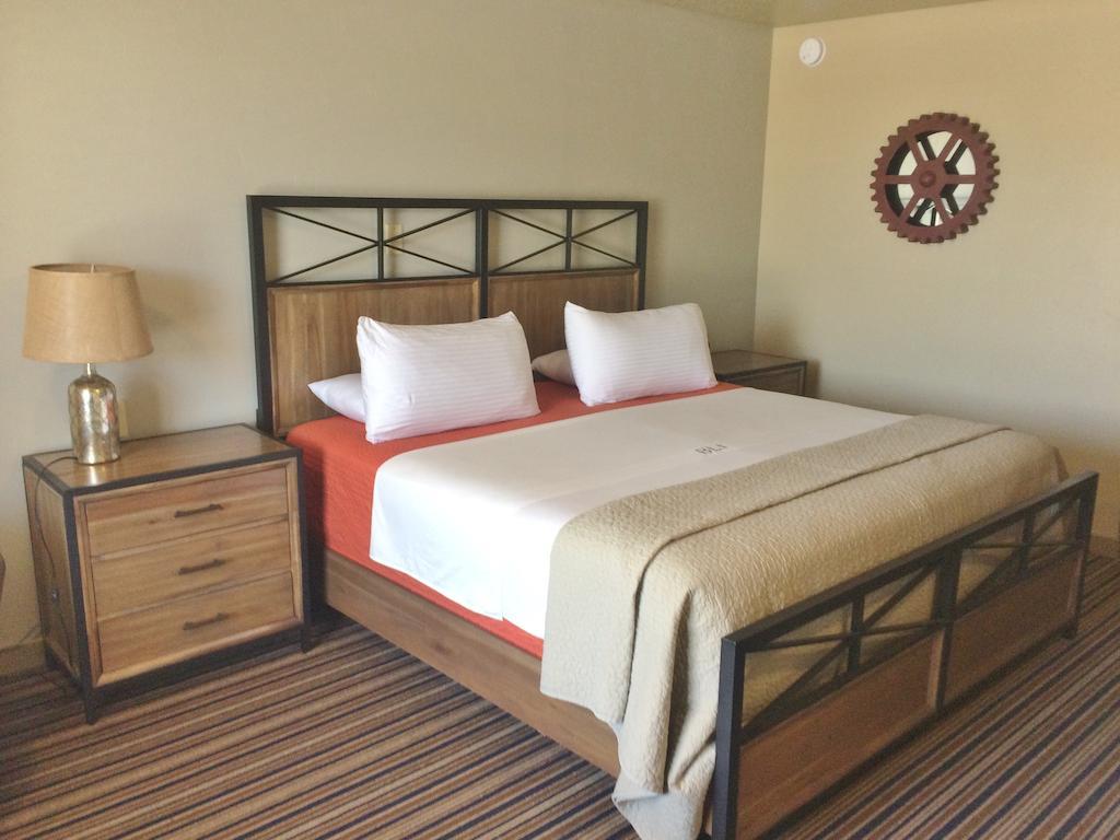 King Room with Roll-In Shower - Disability Access (Non-Dog Friendly)