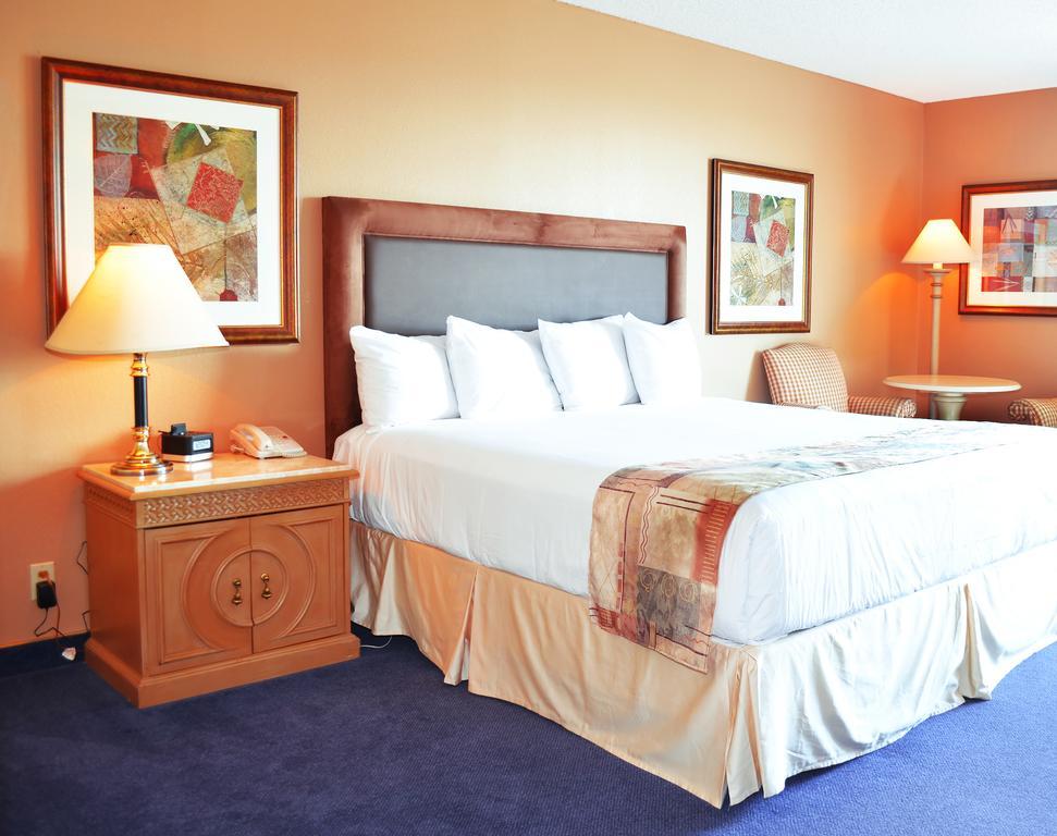 King Room with River View