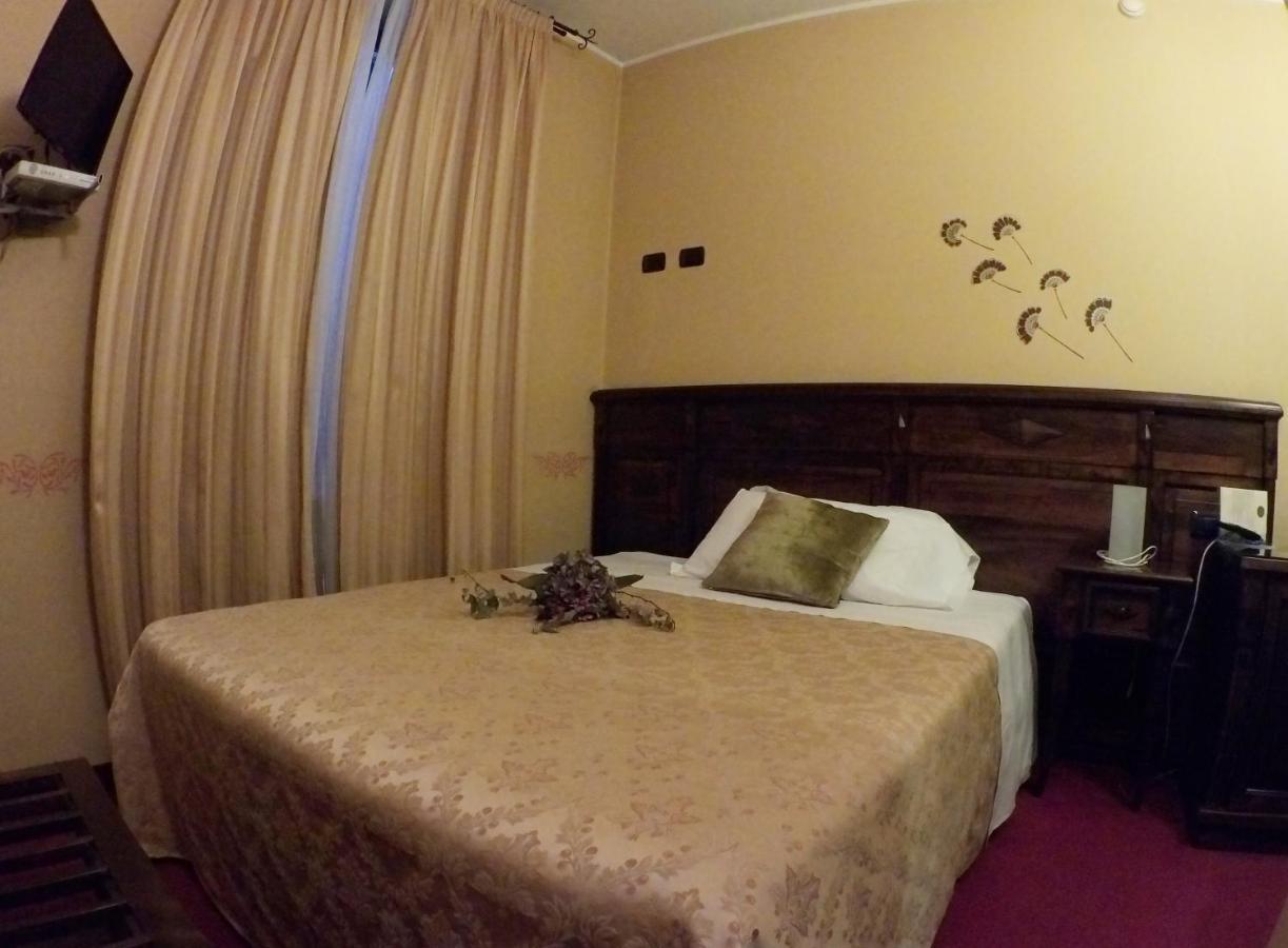 Double or Twin Room,894149116:JPEG