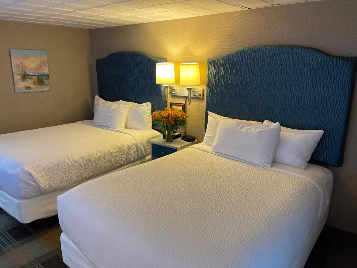 Premium Queen Room