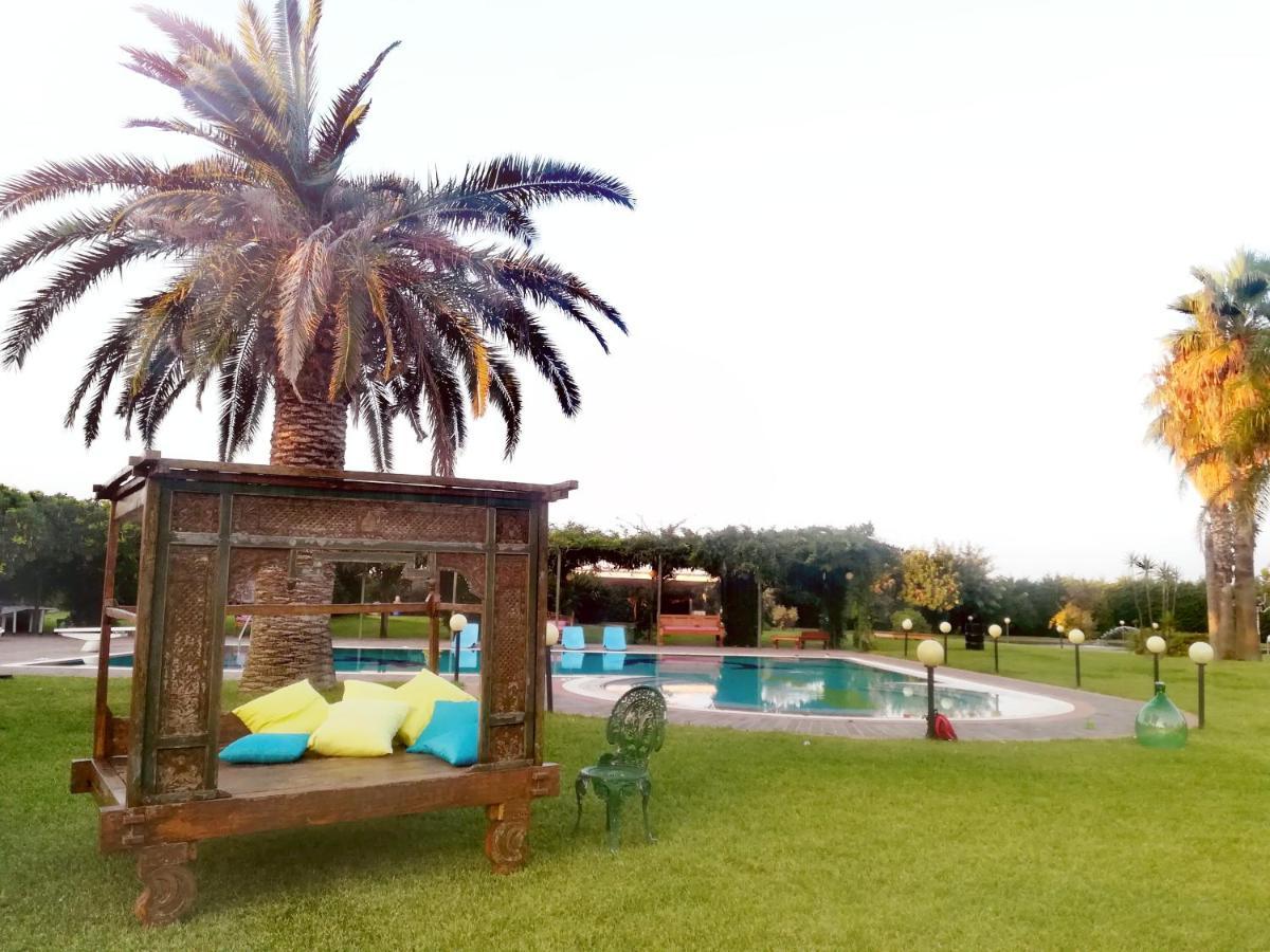 King Room Pool View