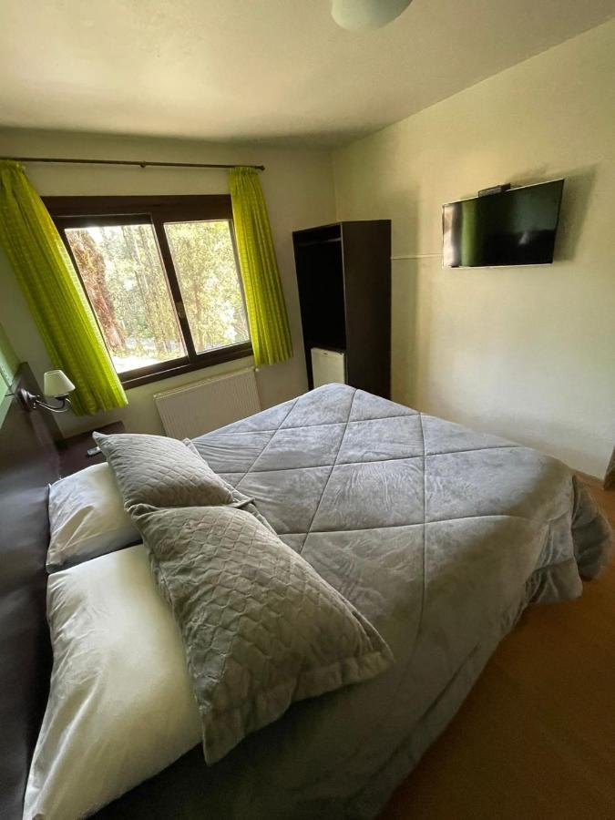 Apartment First Floor