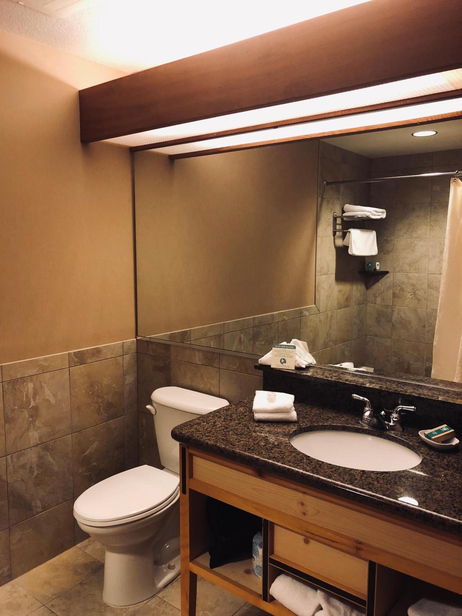 Double Room,1156355292:JPEG