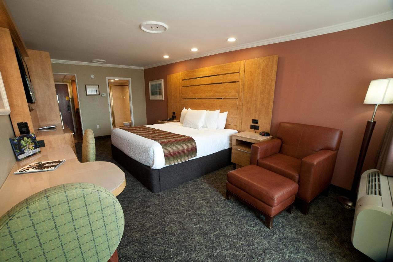 King Room View