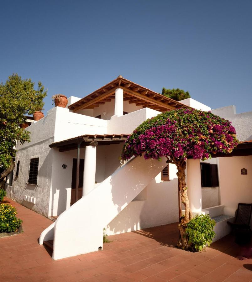 Standard Plus Double or Twin Room