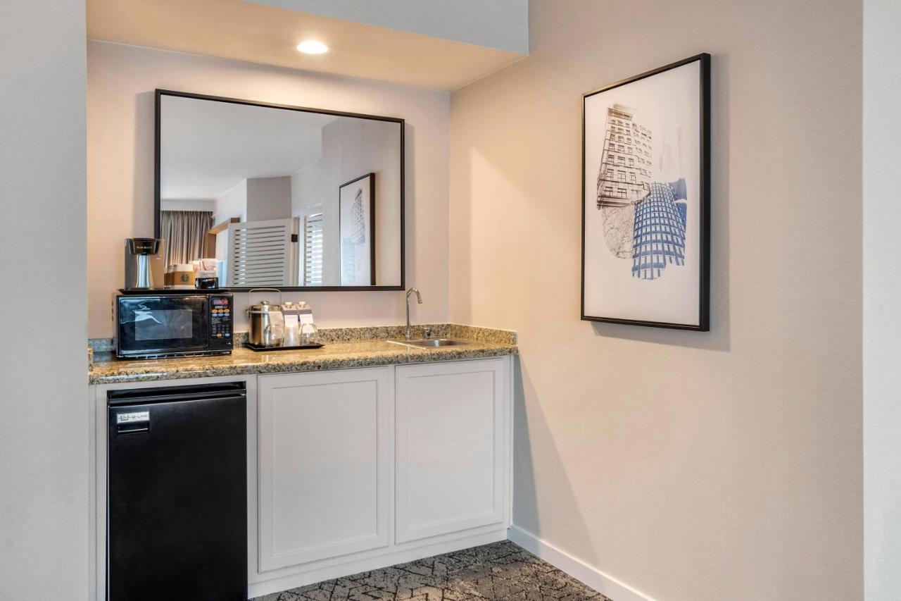 Suite, 1 King, Sofa bed