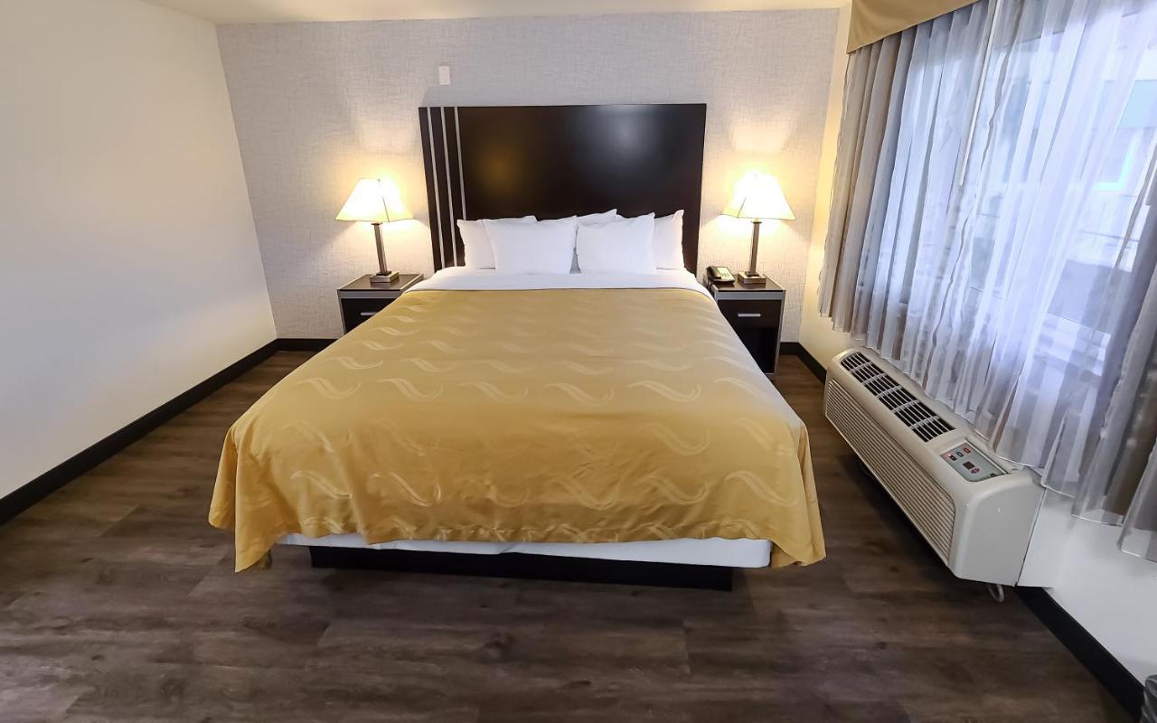 Deluxe Suite 1 King Bed Sofa Bed Non Smoking