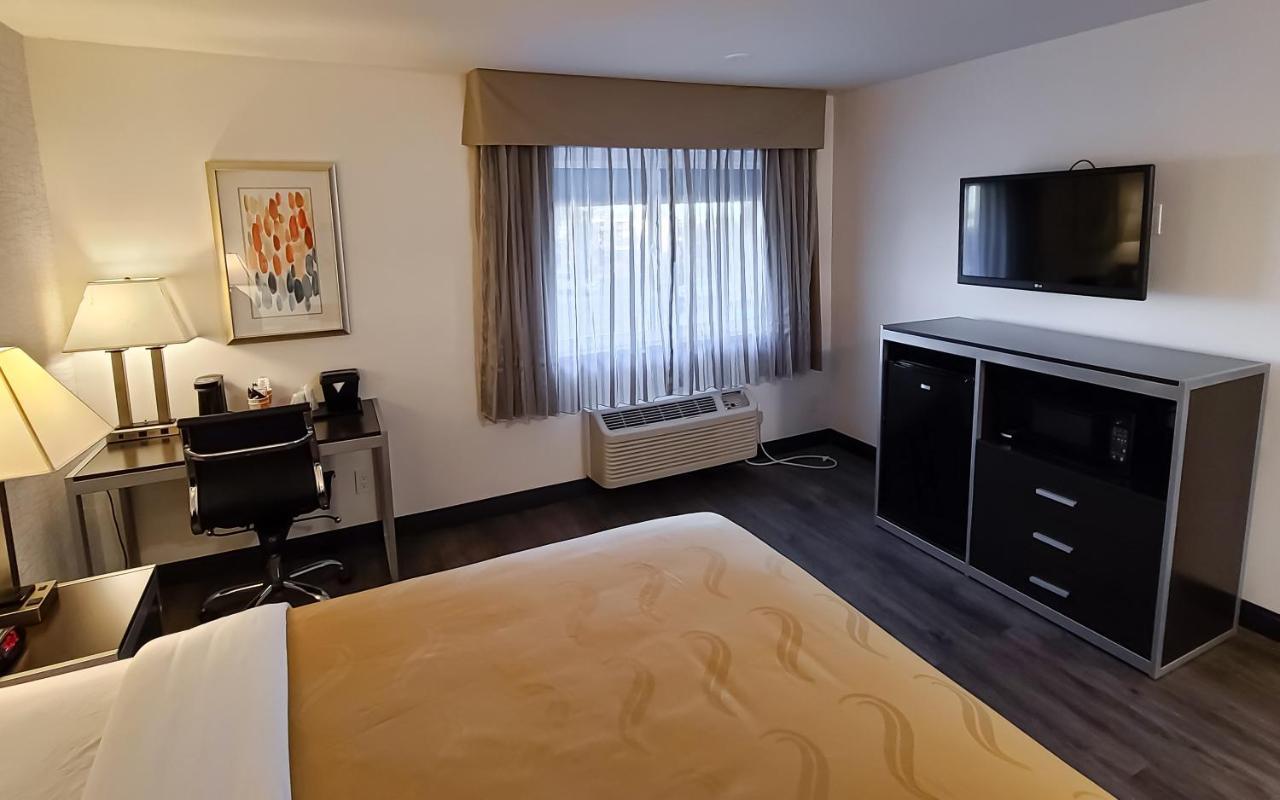 Standard Room 1 Queen Bed Non Smoking