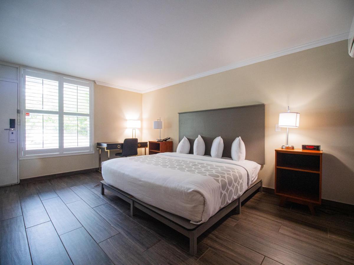 King Room Disability Access