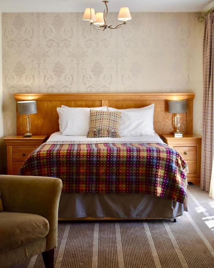 Superior King Room,1646339372:JPEG