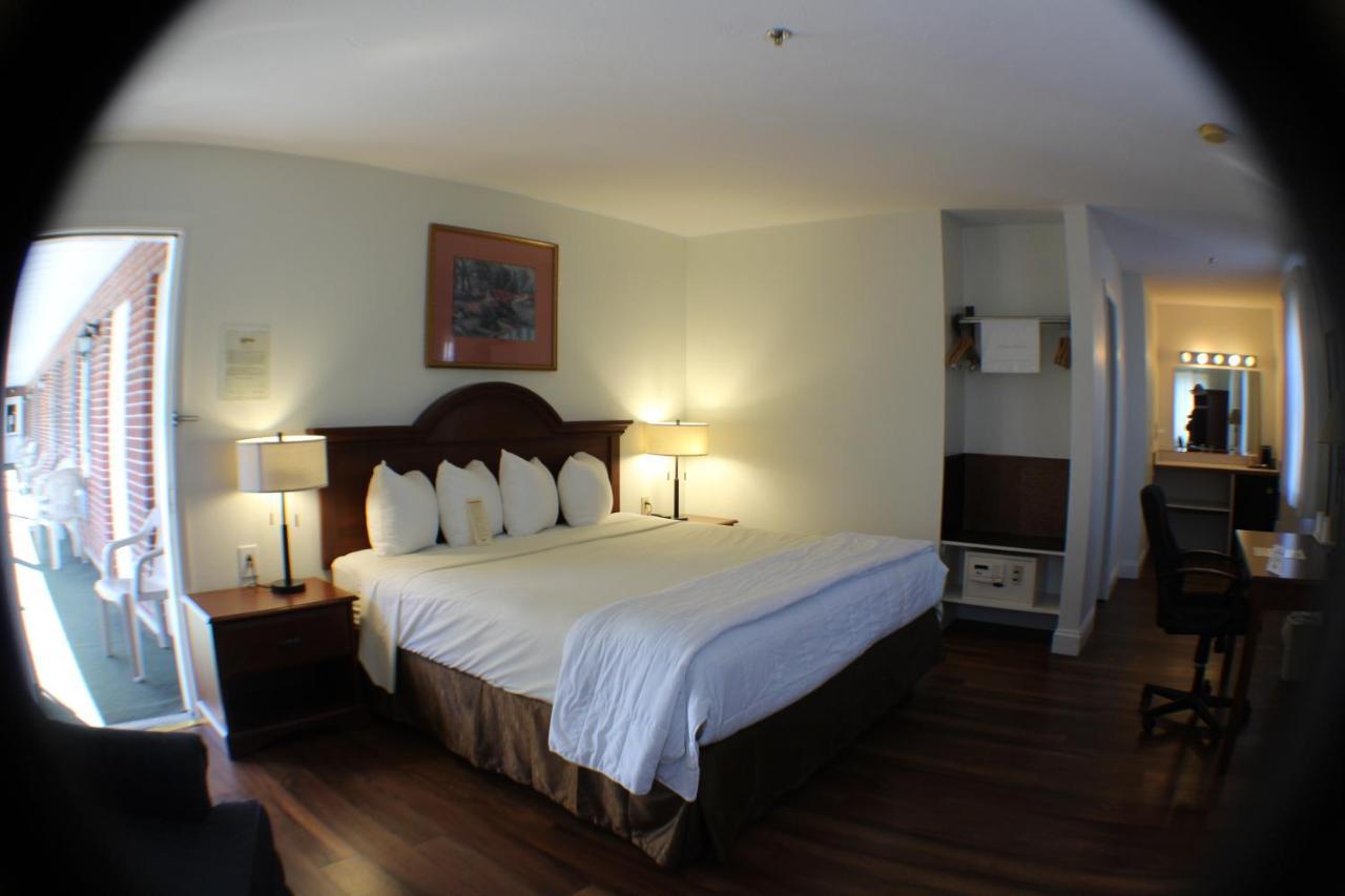 King Room Pet Friendly
