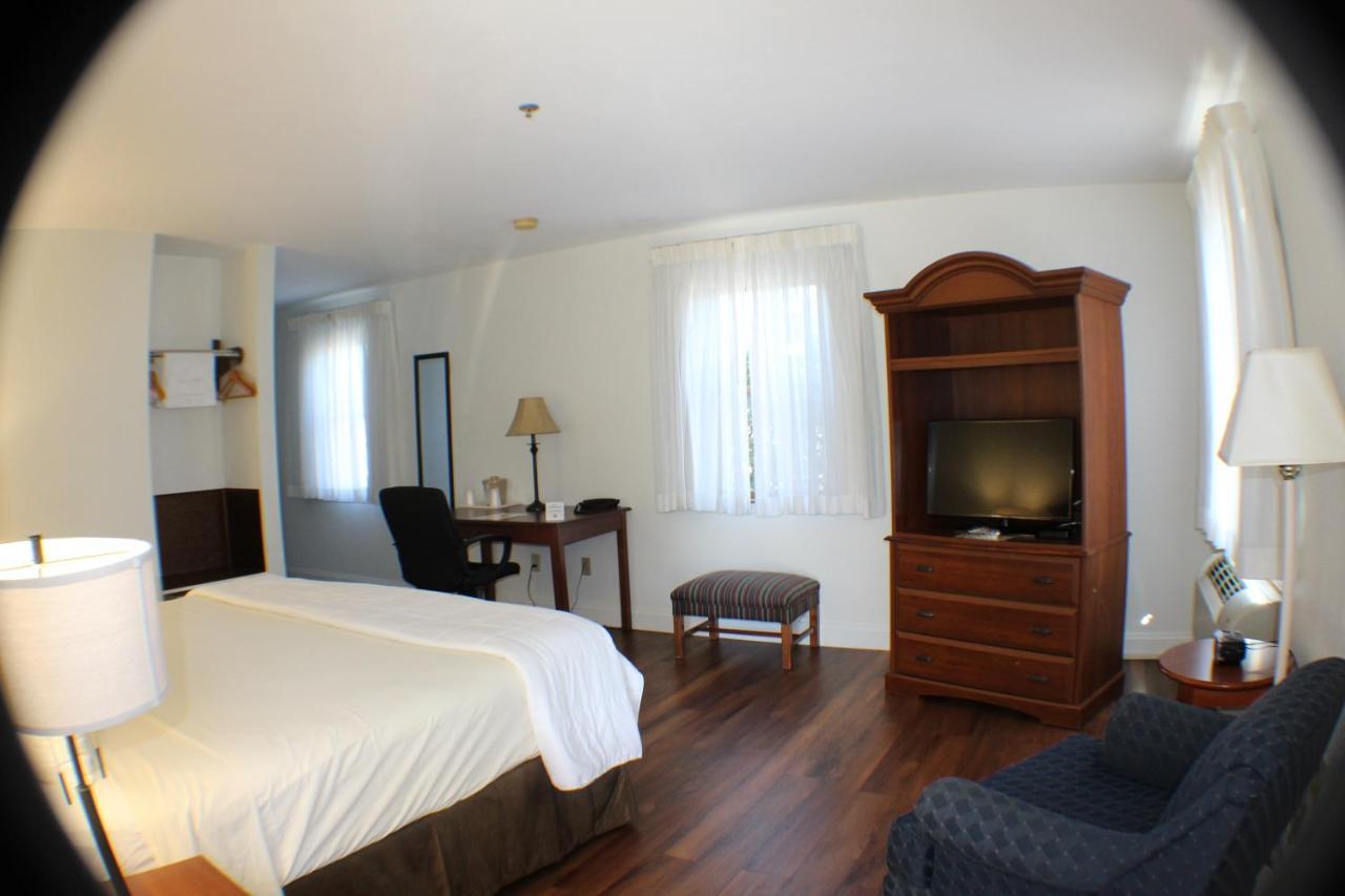 King Room Pet Friendly