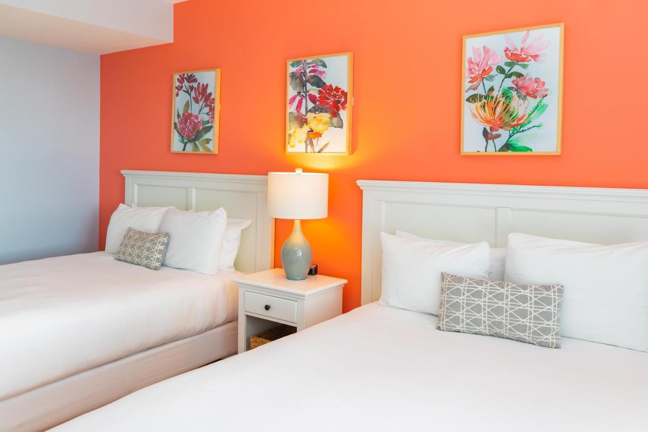 Double Room with Lake View,1178334265:JPEG