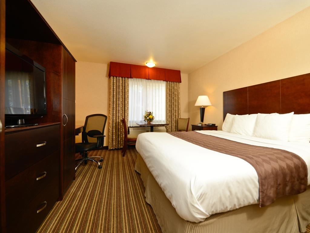 Single Room - Disability Access,205640170:JPEG