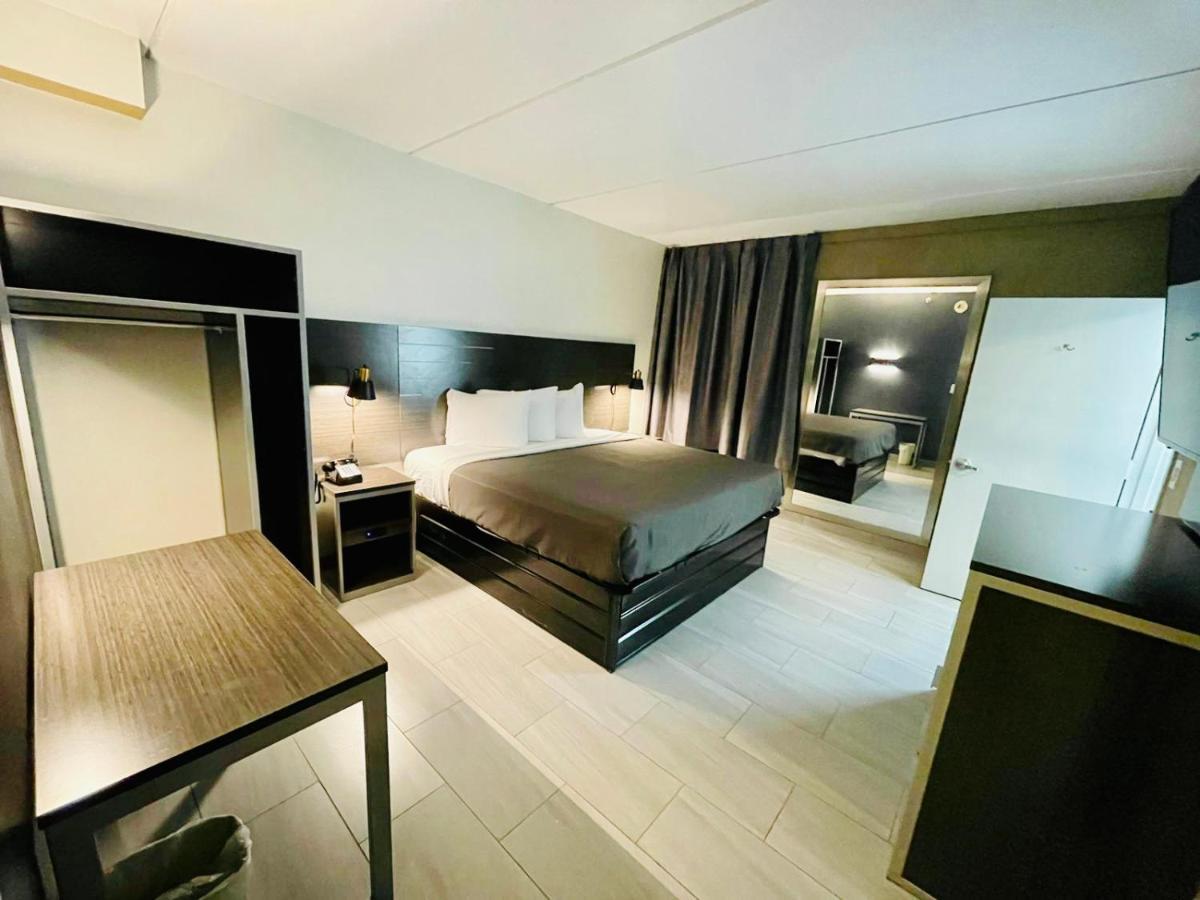 Habitación Deluxe con cama extragrande