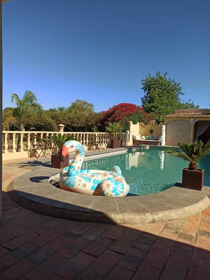 Suite Terrace