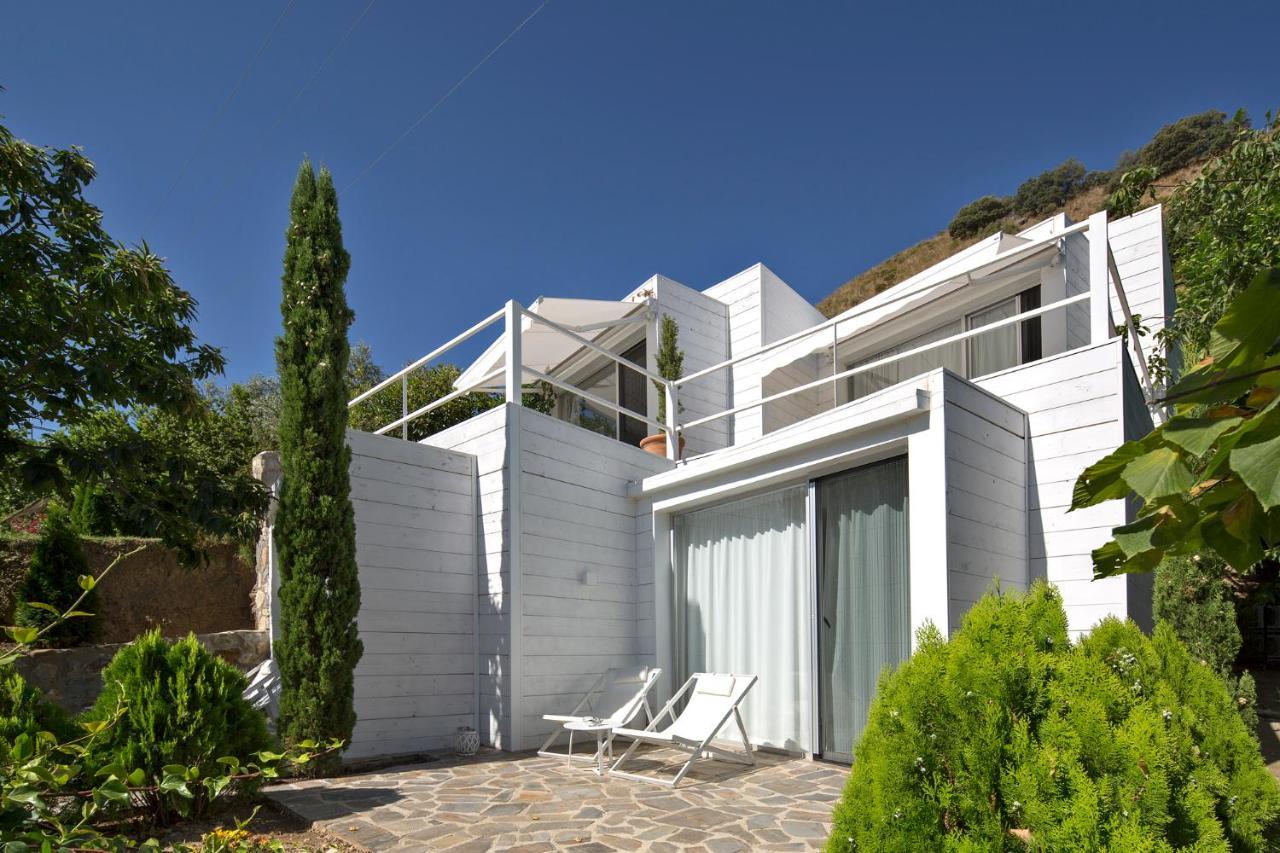 Superior Double Room Terrace