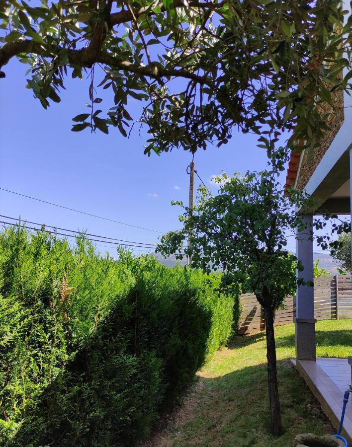 Quadruple Room Terrace