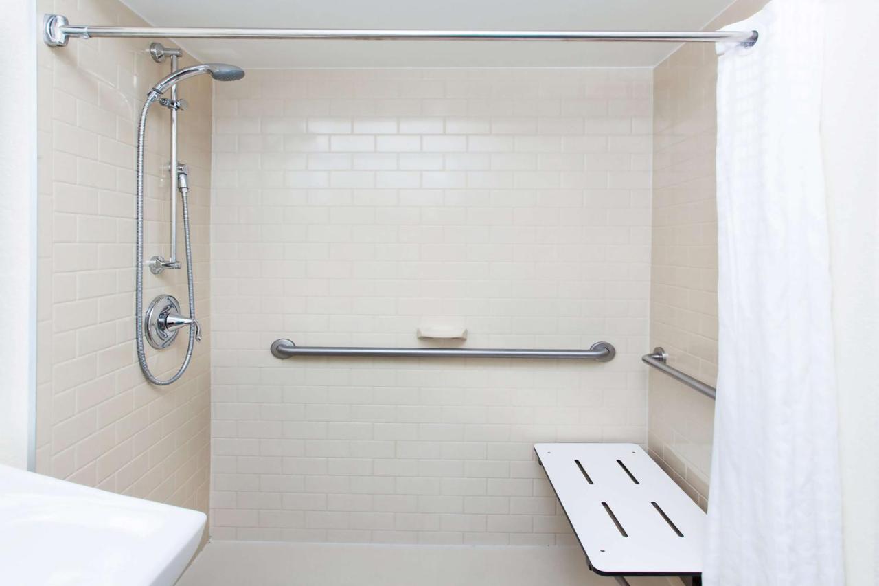Queen Studio Suite with Roll-In Shower - Mobility/Hearing Accessible