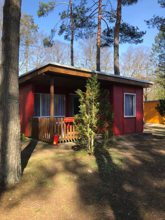 One-Bedroom Bungalow,1566984842:JPEG