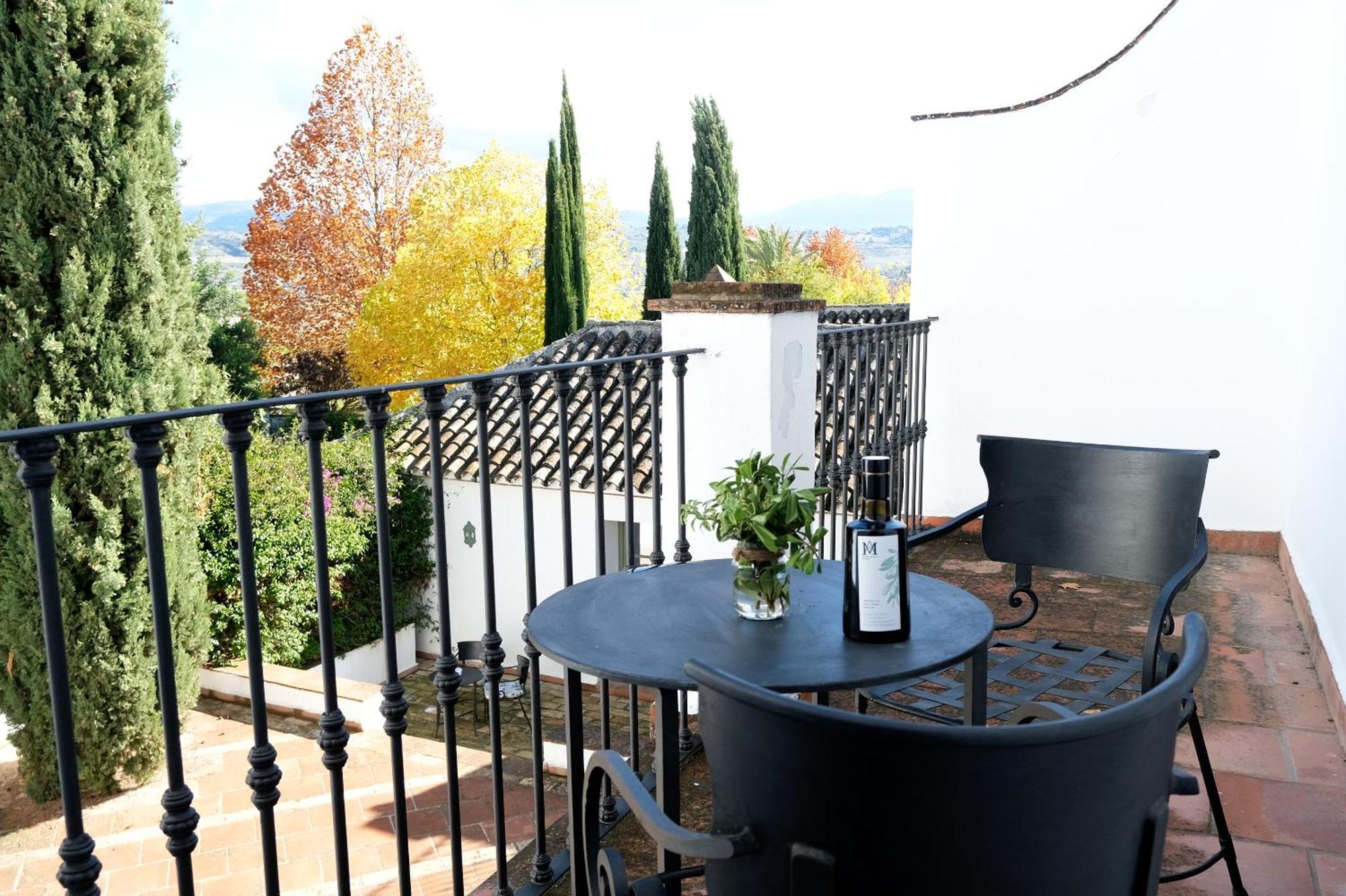 Junior Suite Terrace
