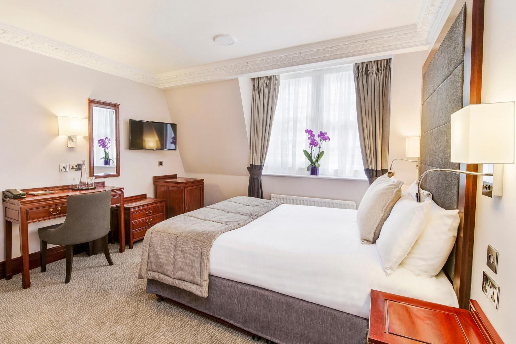Executive Zimmer