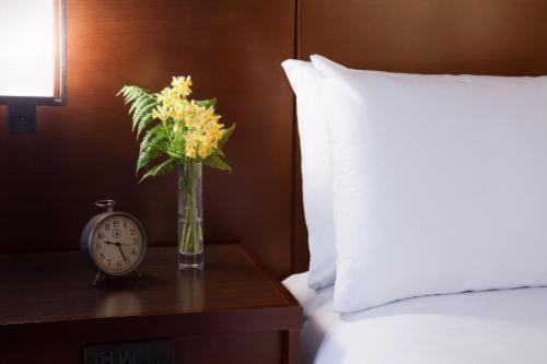 Deluxe Queen Room with Two Queen Beds,1153811175:JPEG