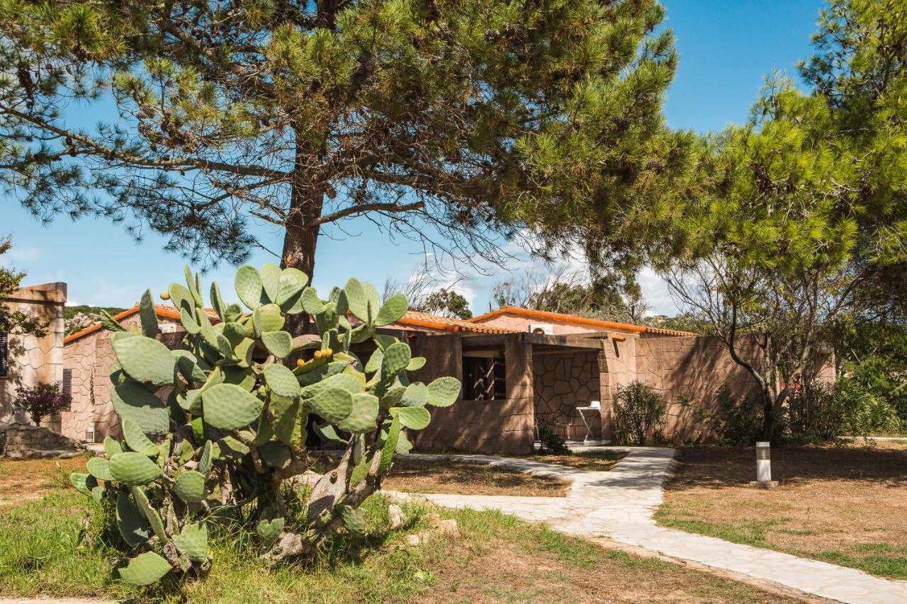 One-Bedroom Bungalow