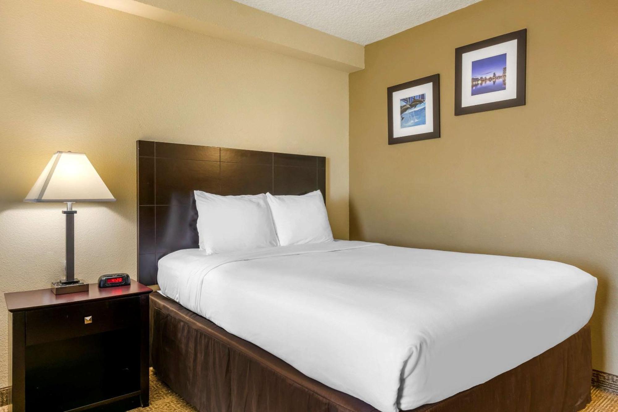 Standard Room Two Double Beds