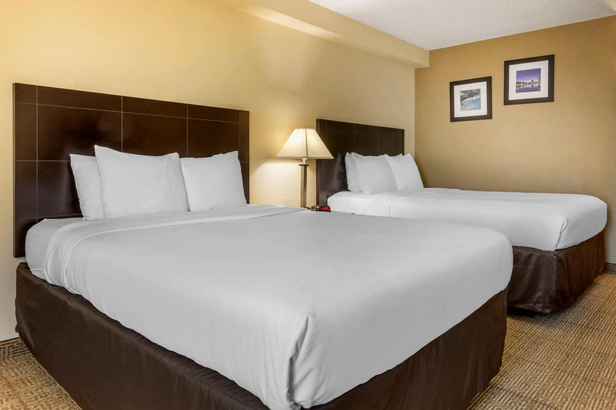 Standard Room Two Double Beds