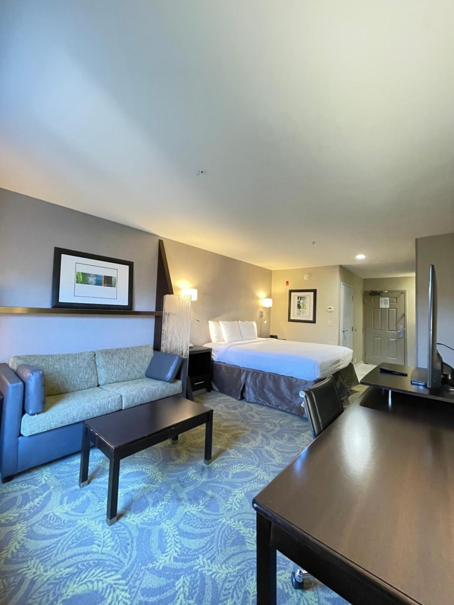 King Studio Suite with Sofa-Bed