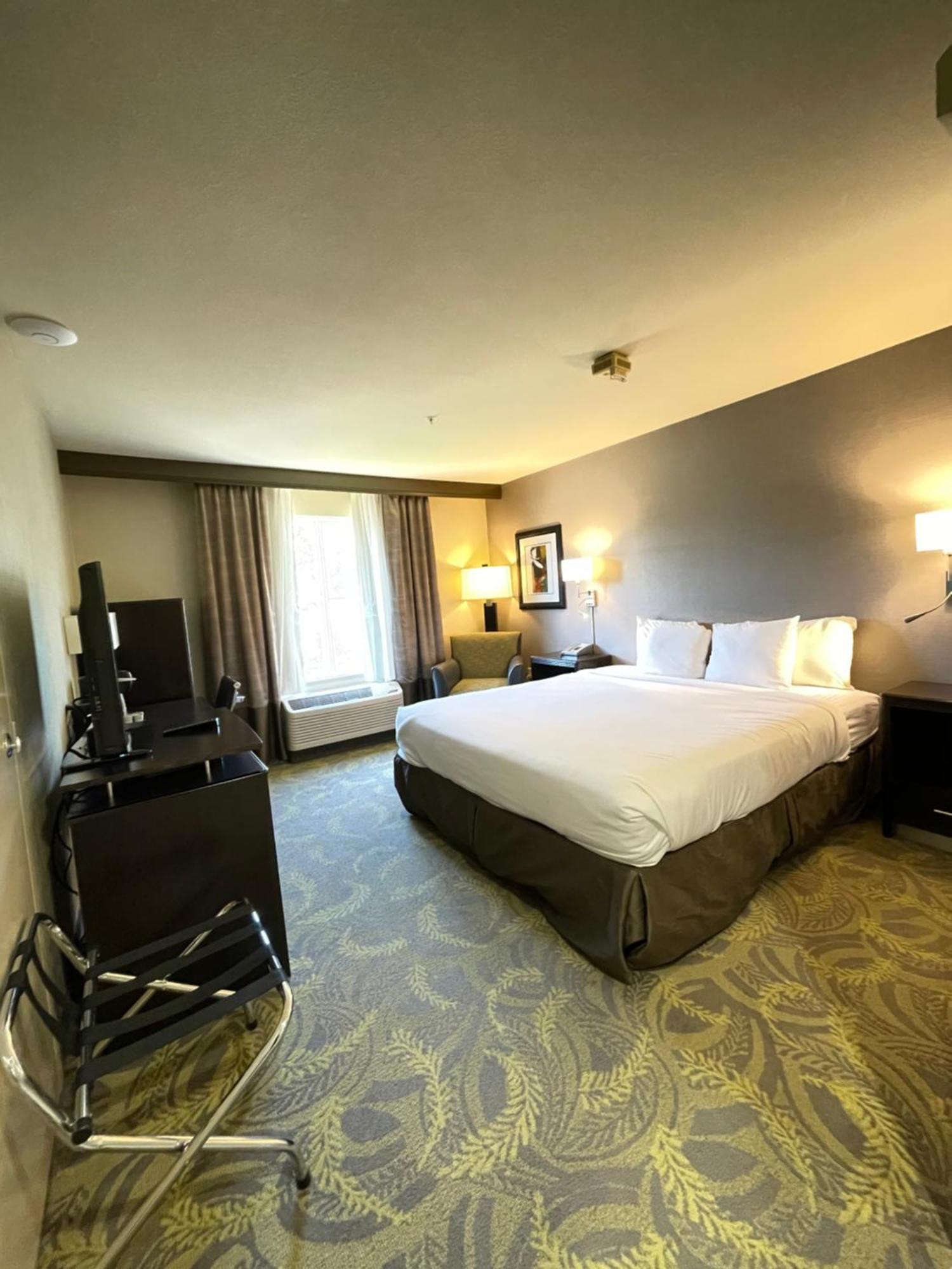 King Room Disability Access