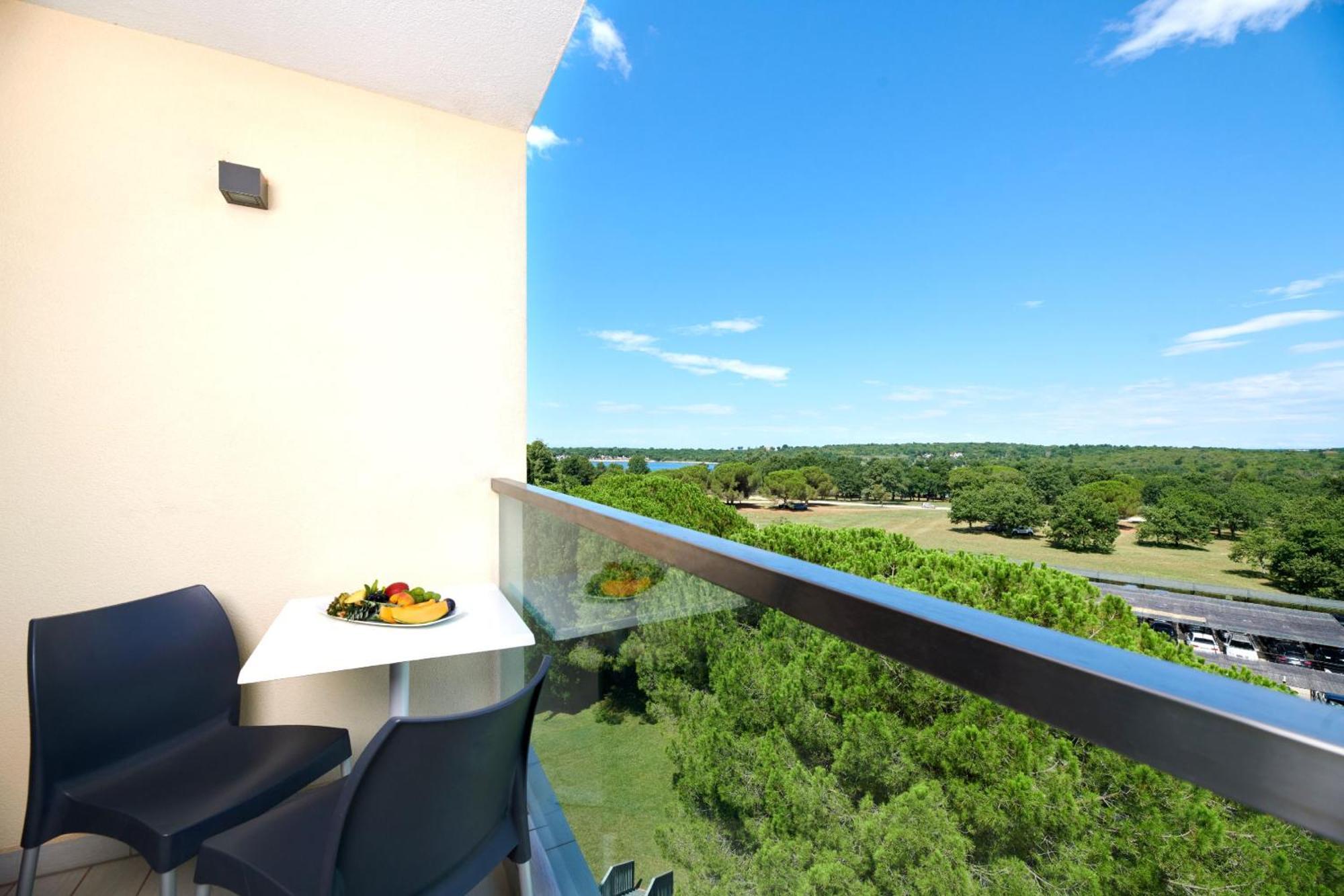 Classic Room Balcony Park Side
