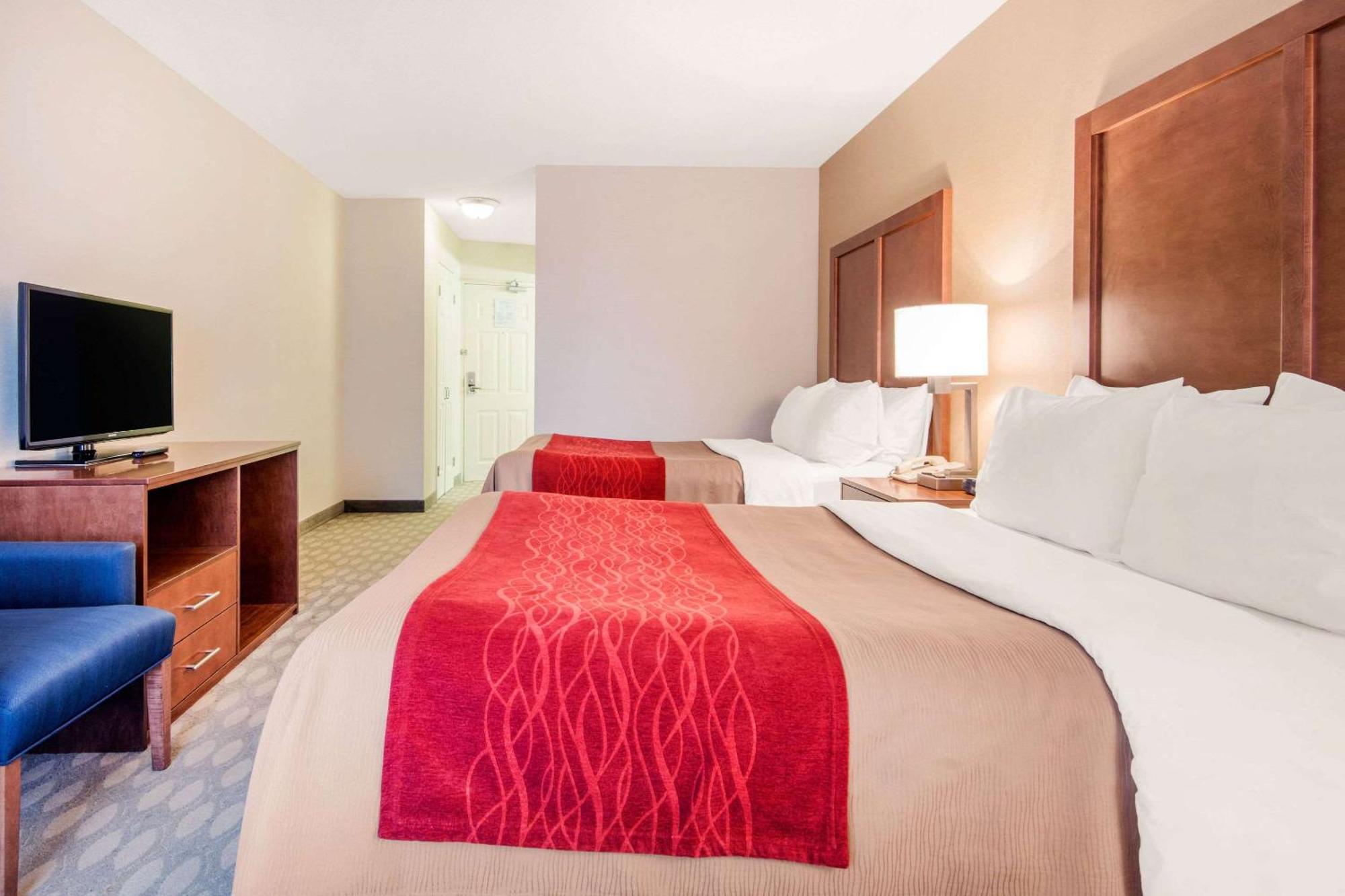 Suite Queen con Divano-Letto