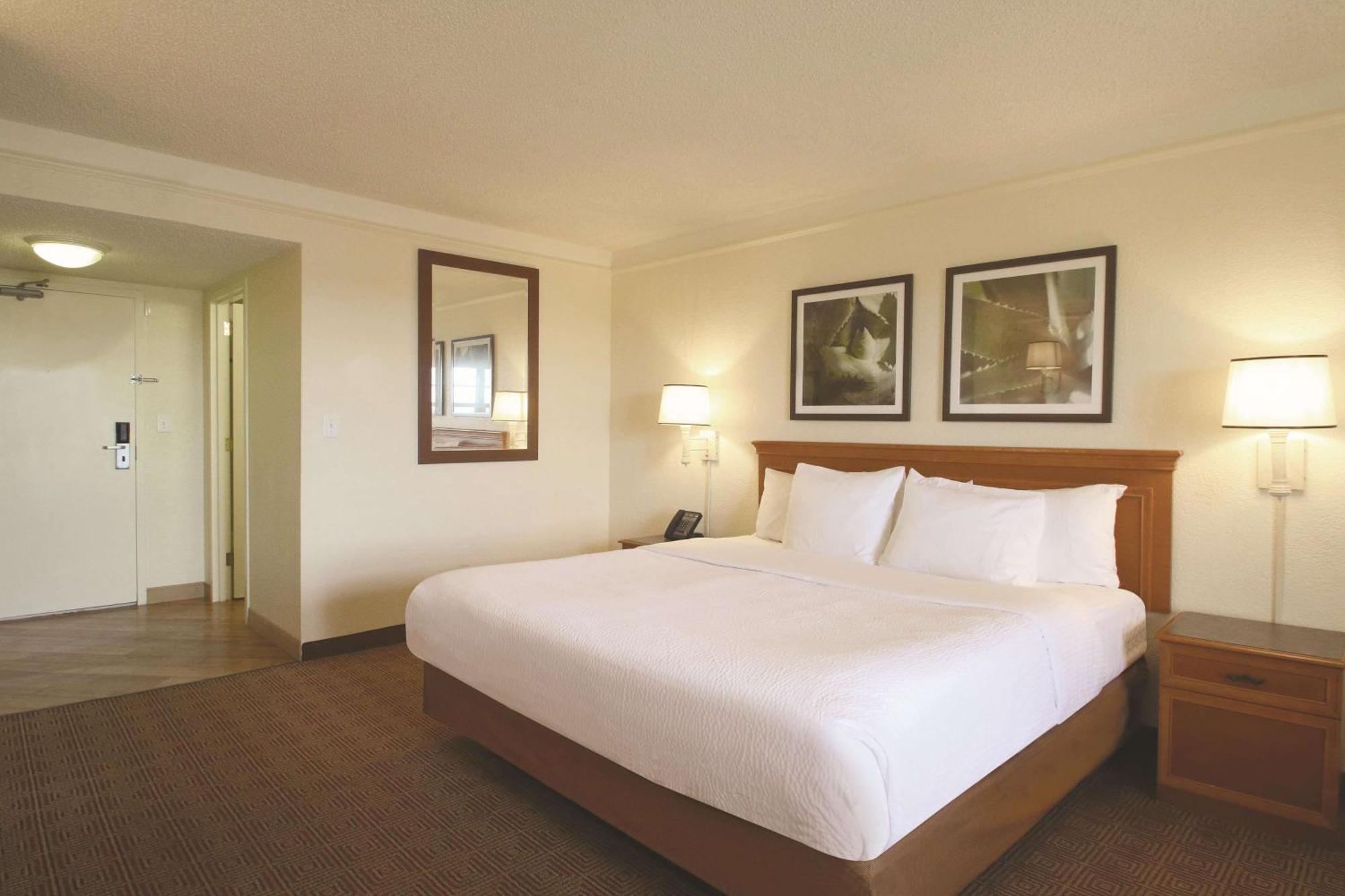 King Room Pet Friendly or Non-Smoking