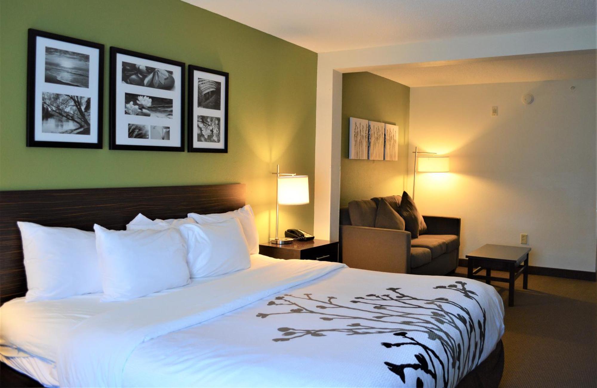 King Suite - Accessible/Non-Smoking
