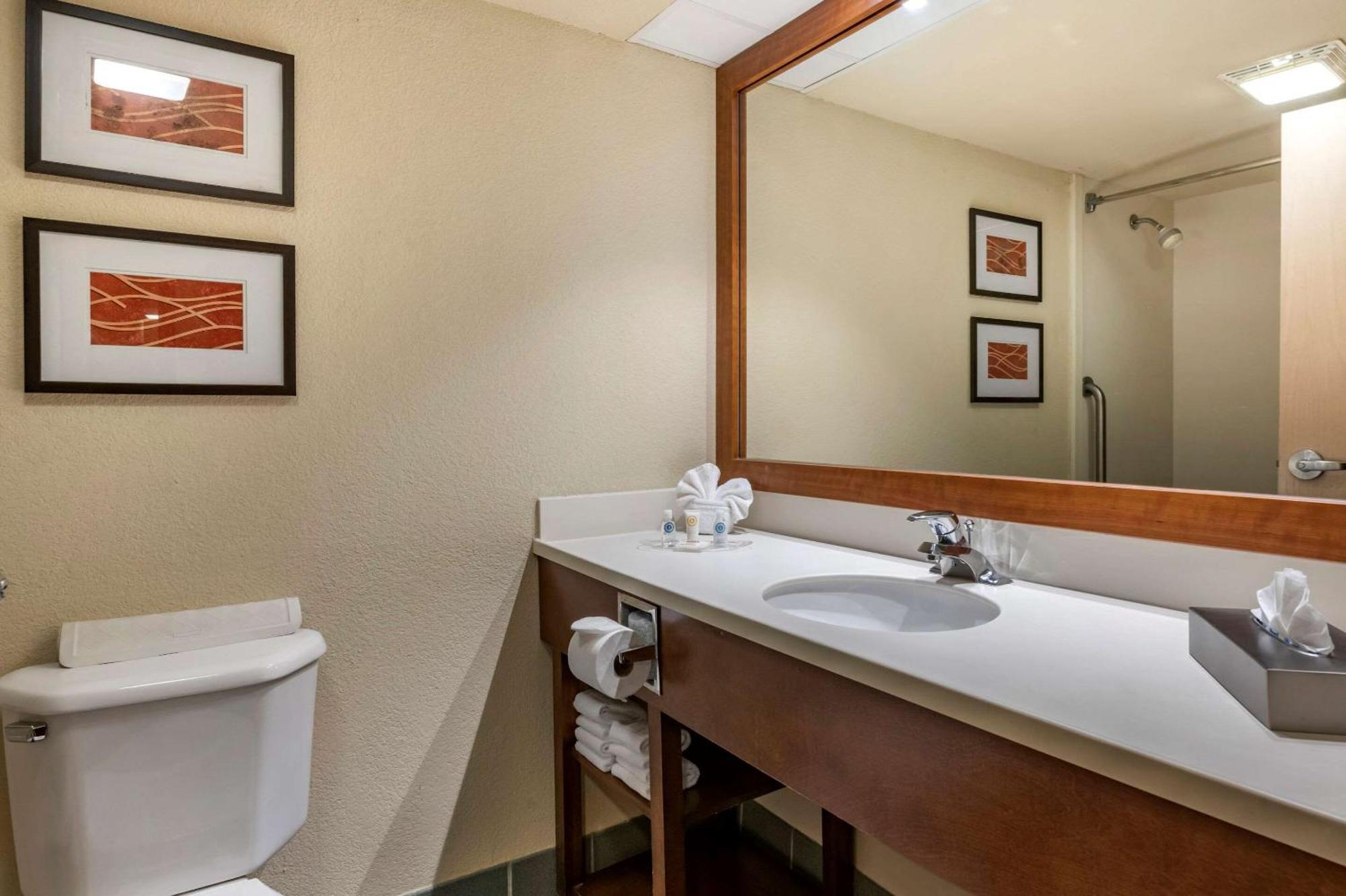 King Suite with Roll-In Shower - Accessible/Non-Smoking