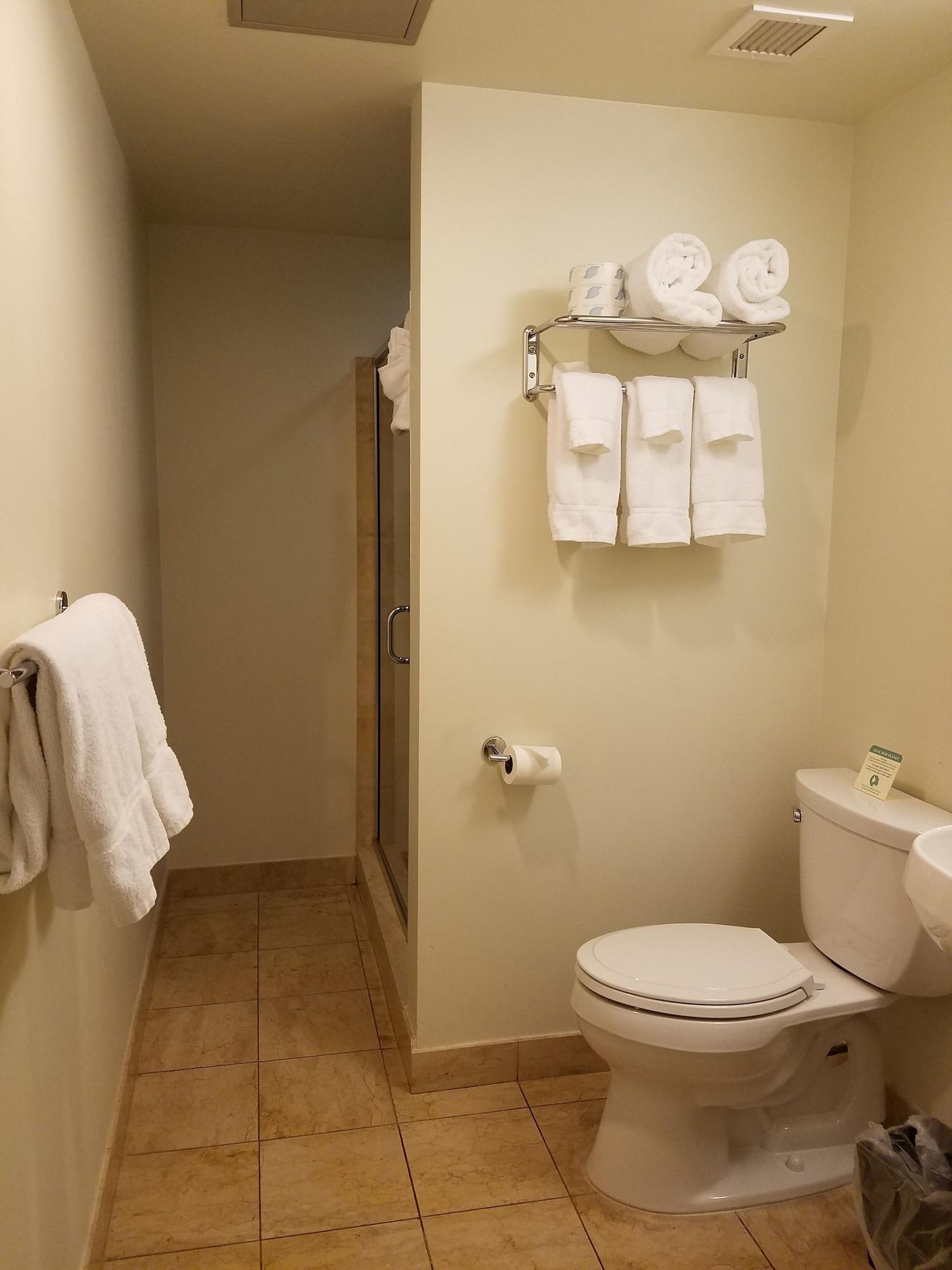 One-Bedroom Queen Suite