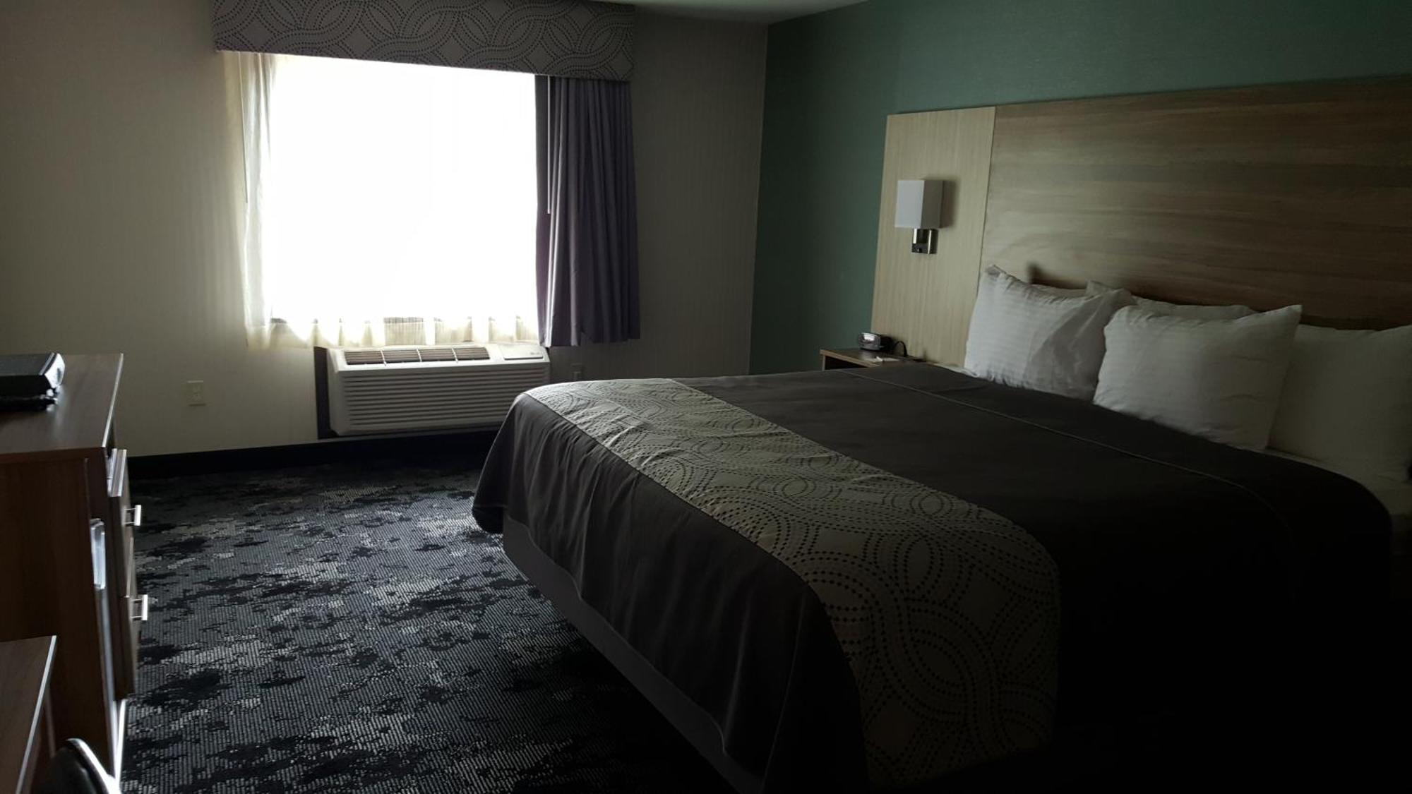 King Room One King Bed