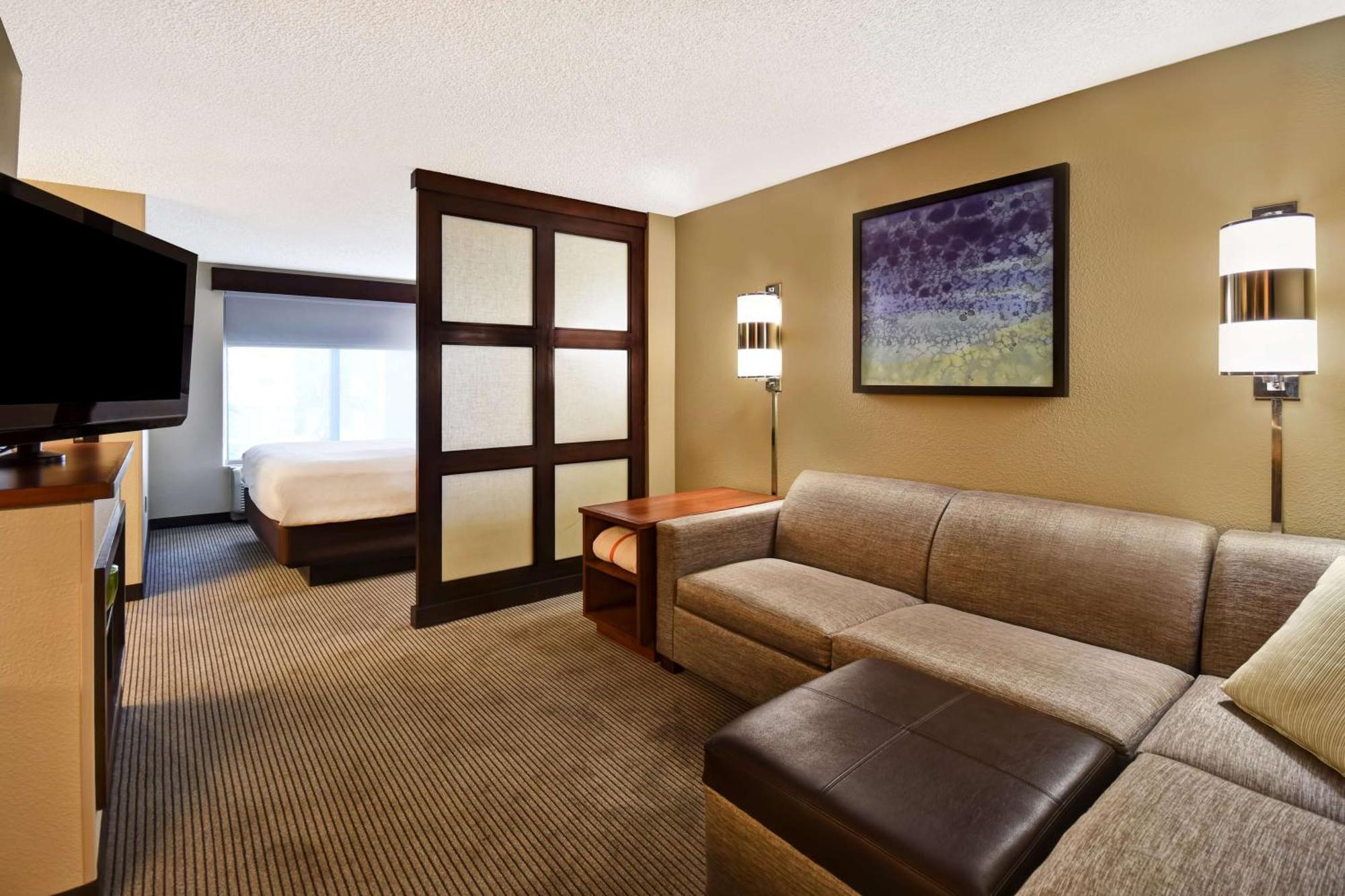 King Room Sofa Bed