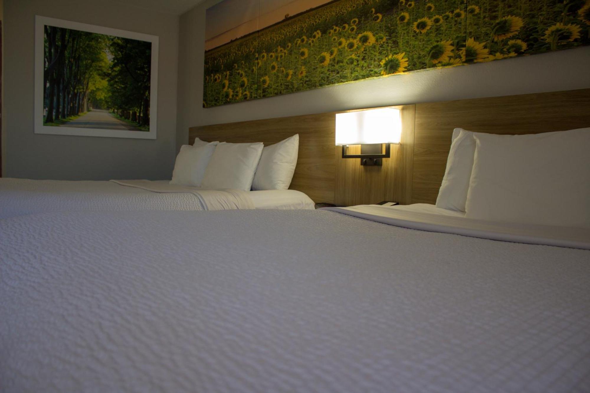 Queen Room Two Queen Beds Non-Smoking