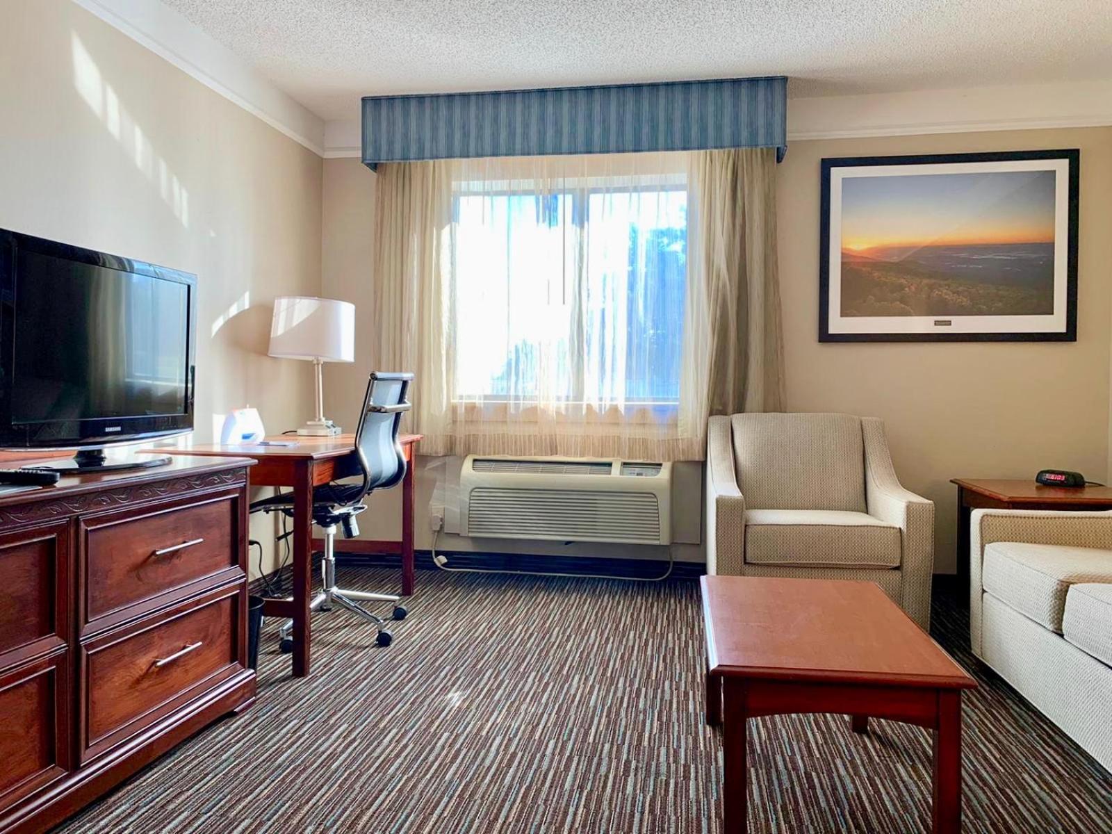One-Bedroom King Suite Non-Smoking