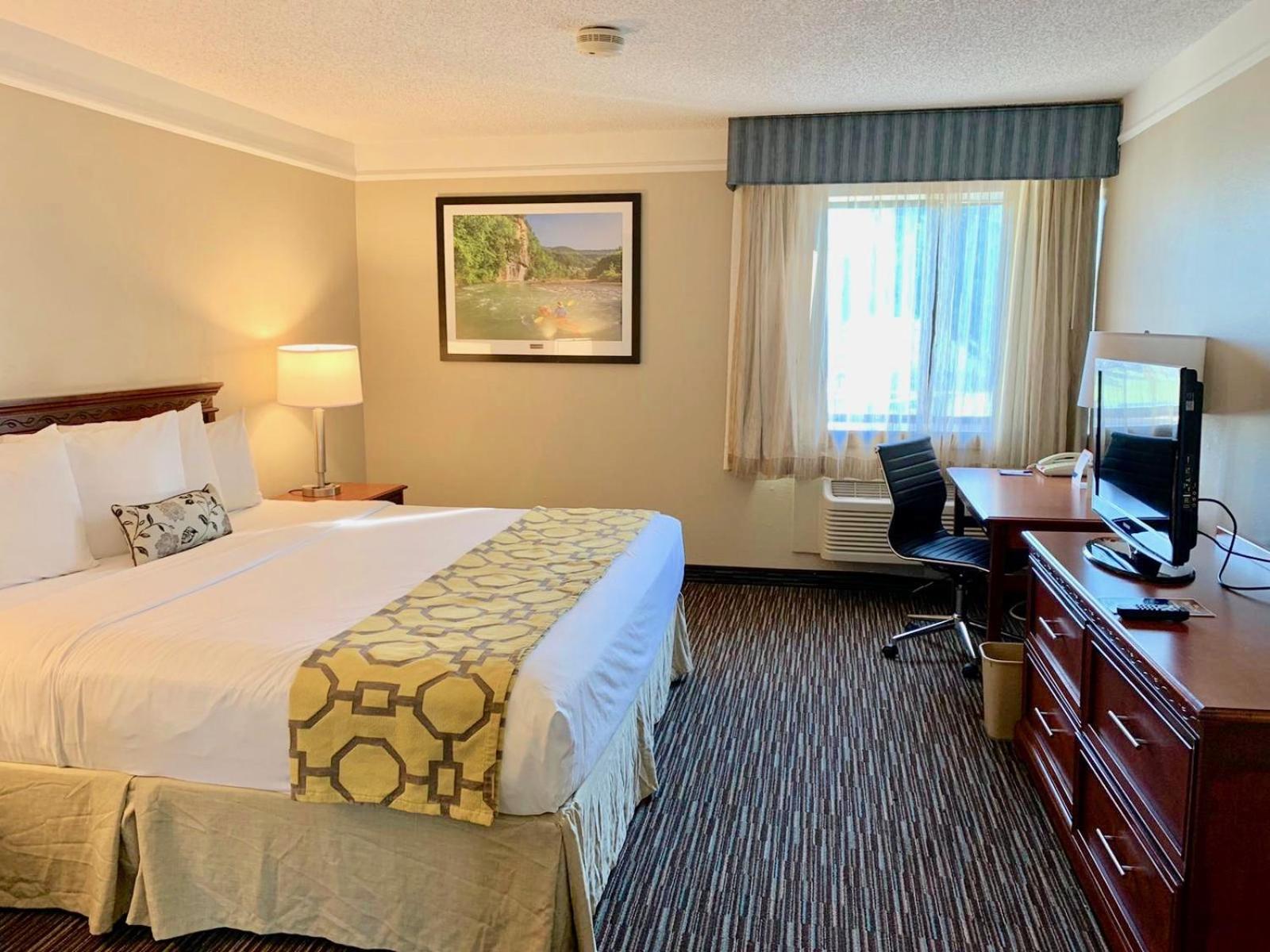 One-Bedroom King Suite Non-Smoking