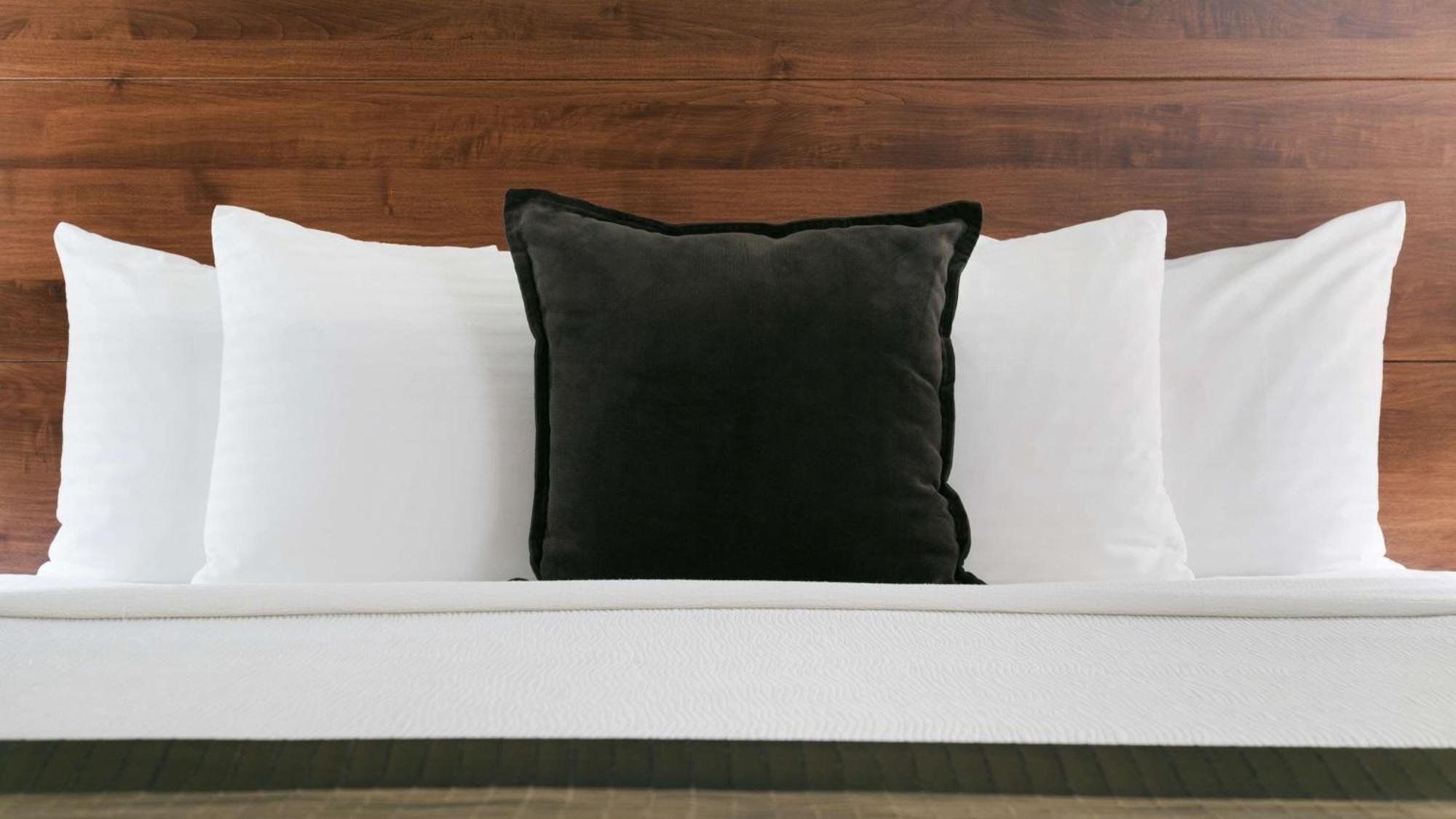 Queen Room with Two Queen Beds - River View,1698024803:JPEG
