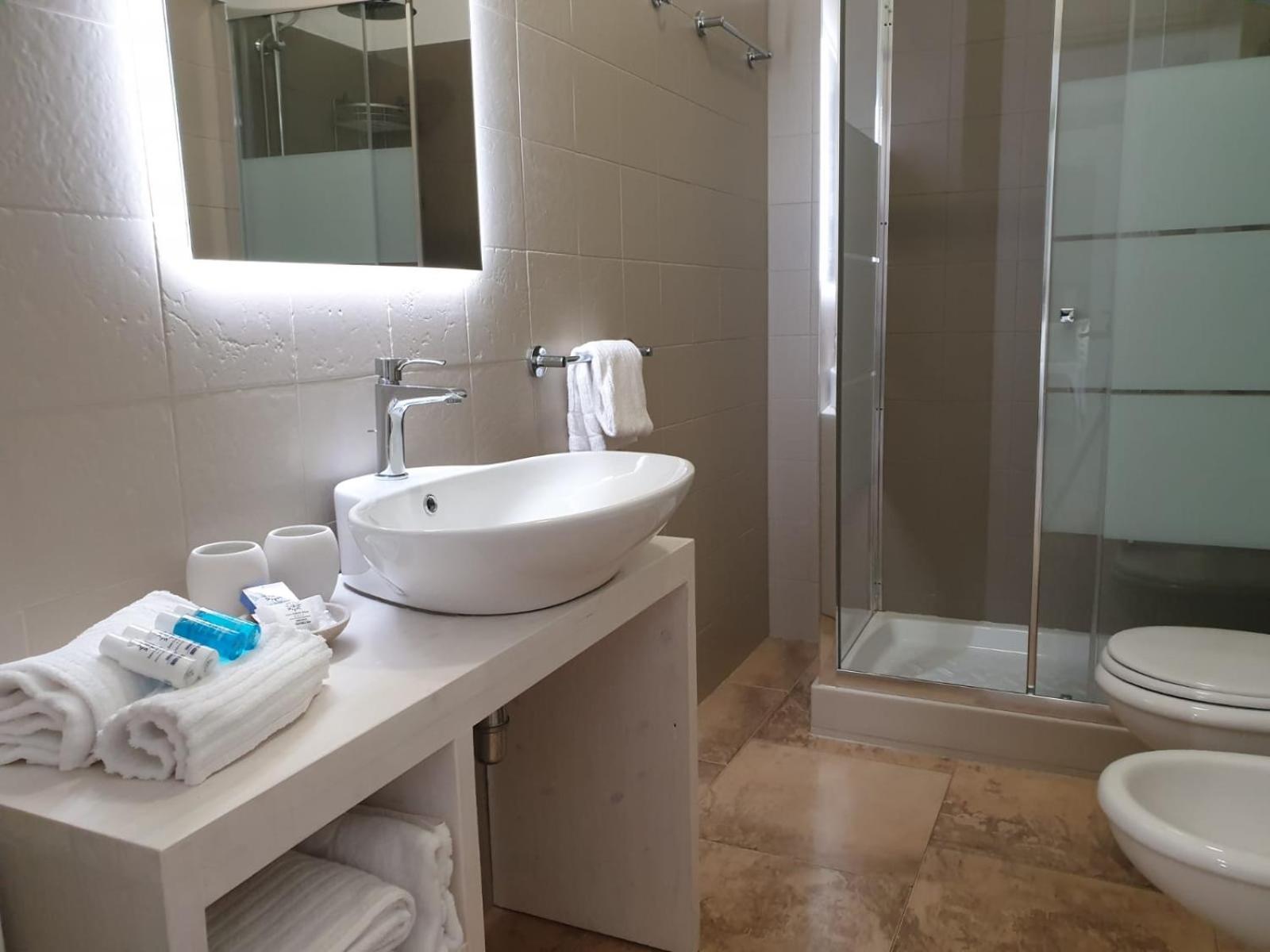 Double or Twin Room