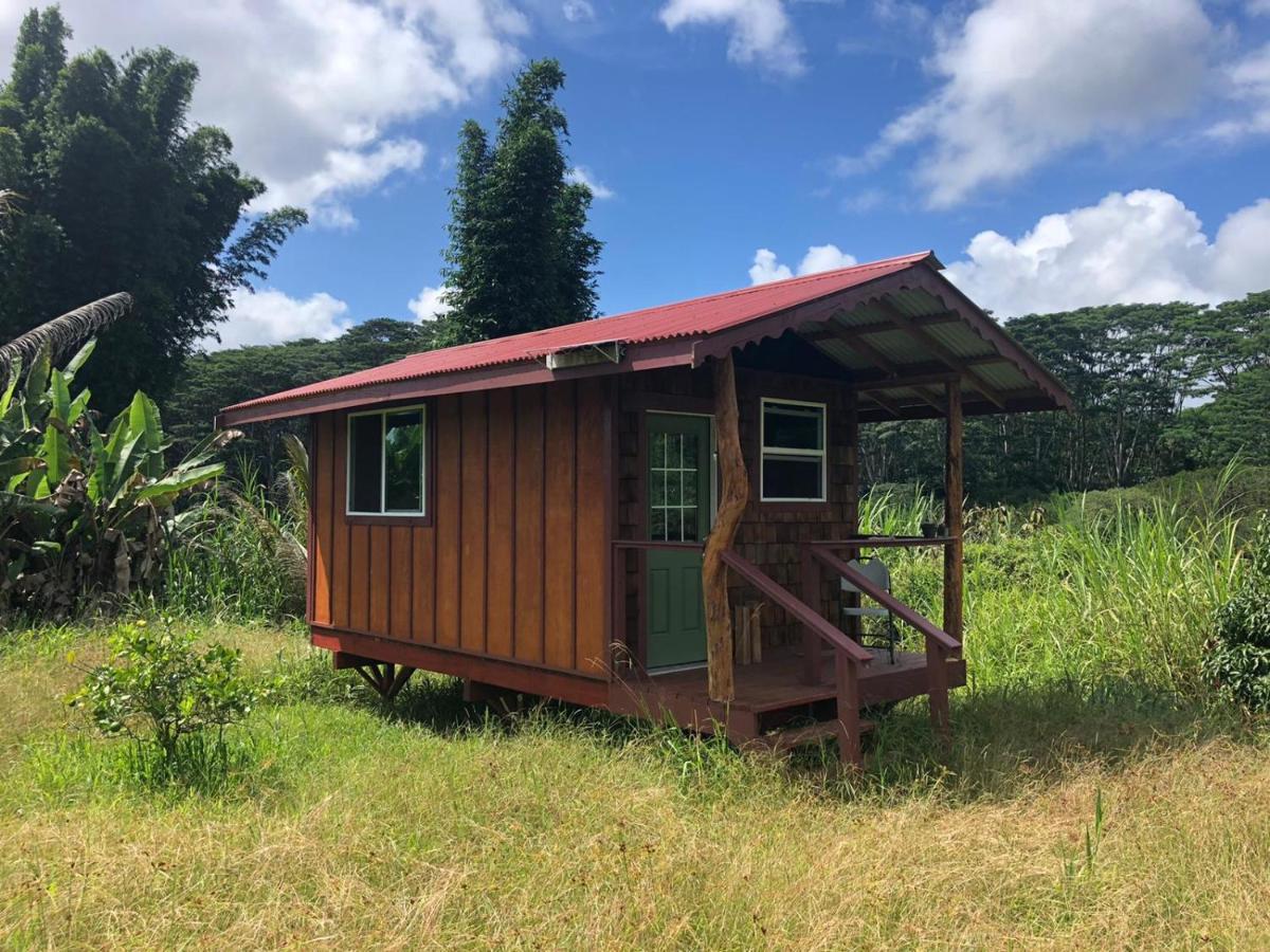 Gardenview Cabin Limited Electricity or