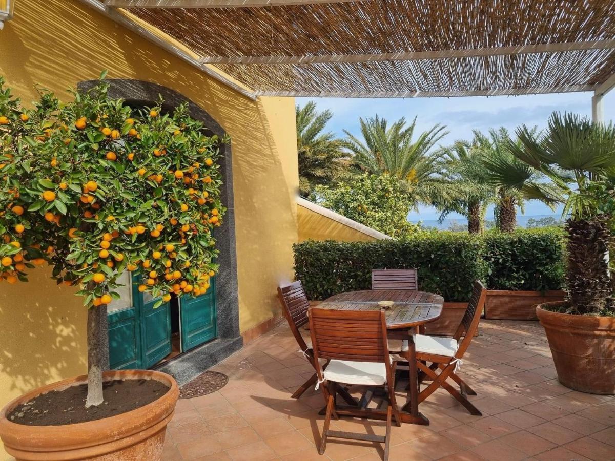 Apartment Terrace Ground Floor