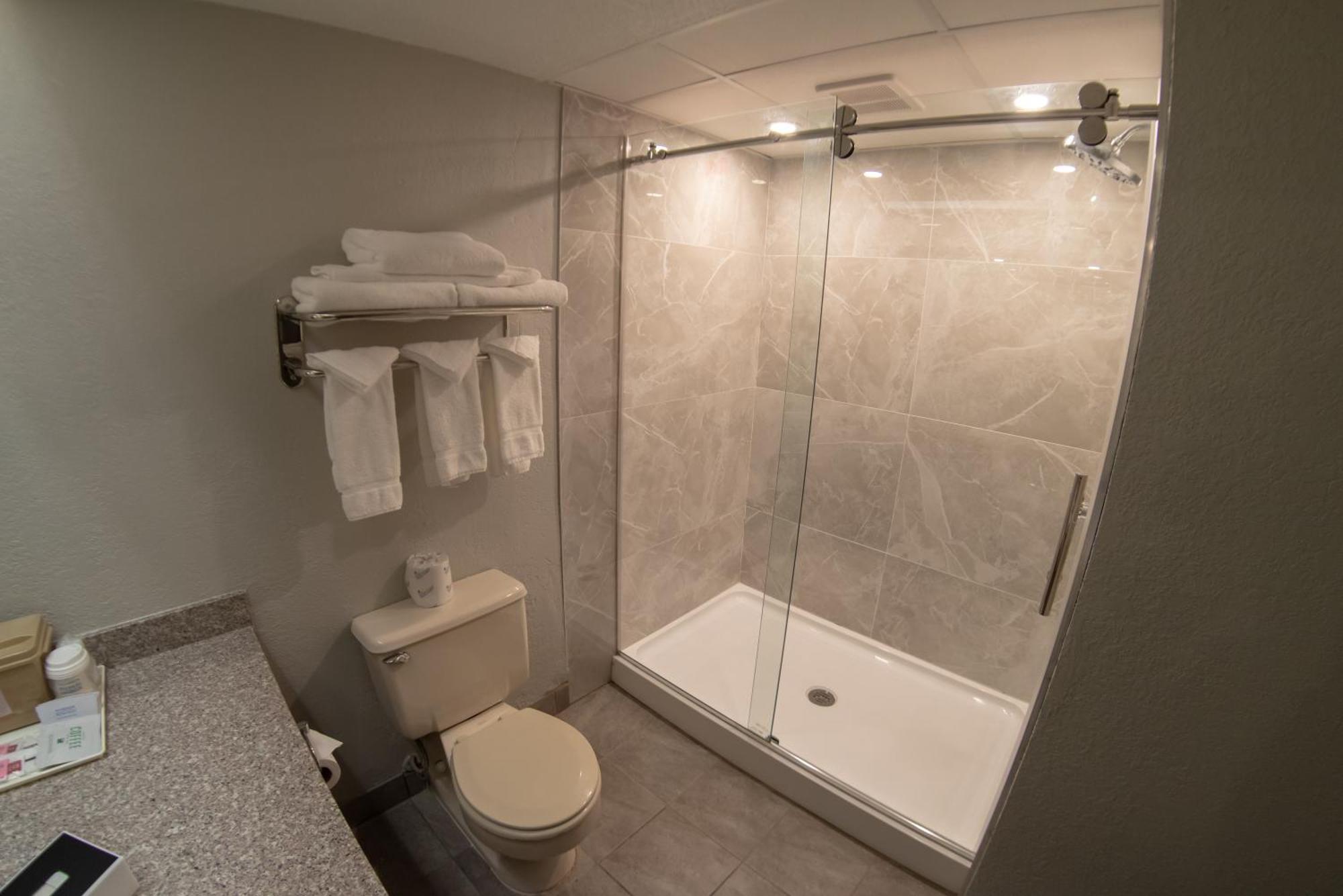 One-Bedroom Superior King Suite Non-Smoking